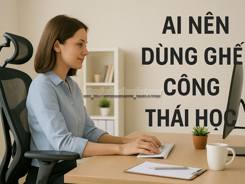 Ai Nên Dùng Ghế Công Thái Học?