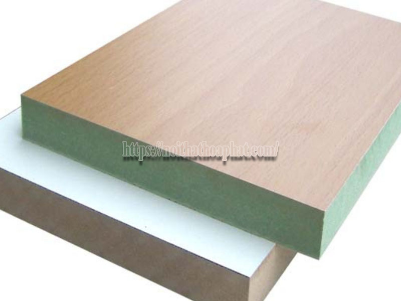 gỗ MDF có bị mối mọt không