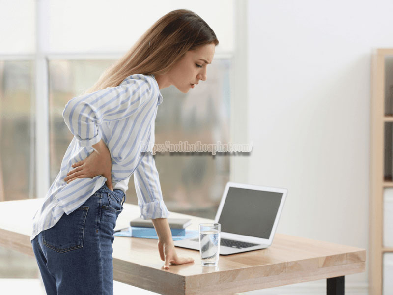 Cách giảm đau lưng khi ngồi ghế văn phòng: Hướng dẫn toàn diện từ Nội thất Hòa Phát