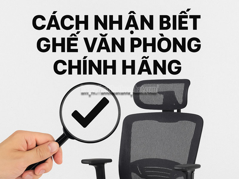 Cách Nhận Biết Ghế Văn Phòng Chính Hãng & Lời Khuyên Từ Hòa Phát