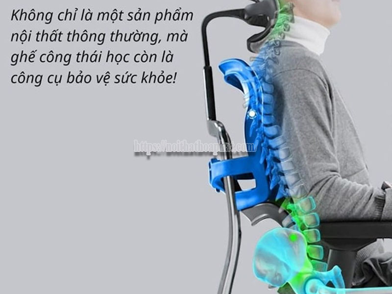 ngồi ghế công thái học có đau lưng không