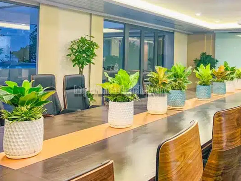 Trang trí phòng họp nhỏ