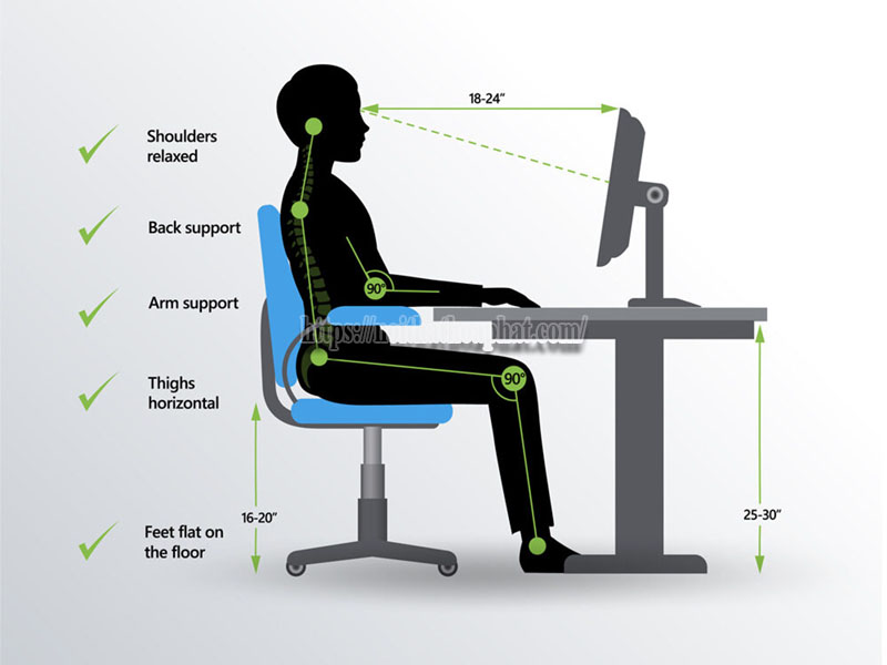 chức năng các bộ phận ghế công thái học