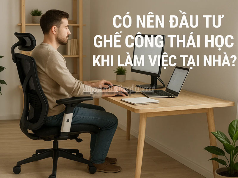 đầu tư ghế công thái học