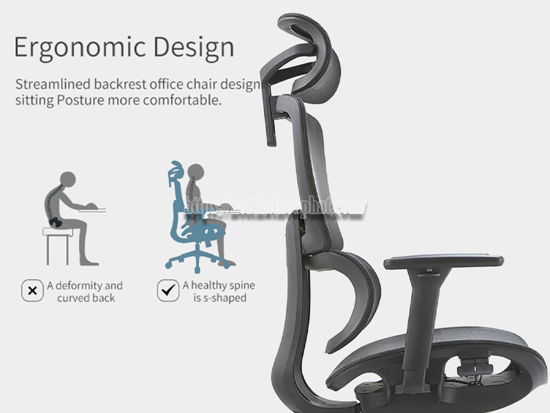 Ghế ergonomic giúp gì cho sức khỏe