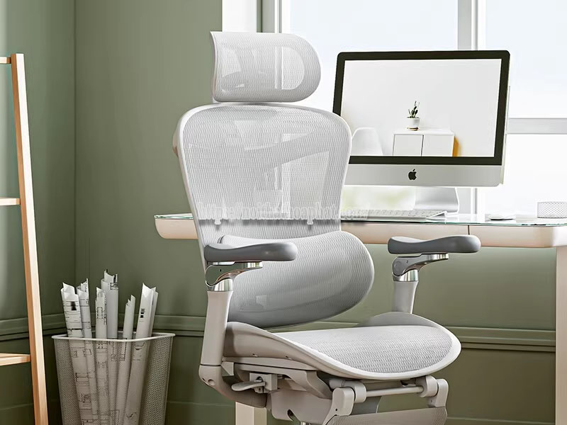 mua ghế ergonomic trực tuyến