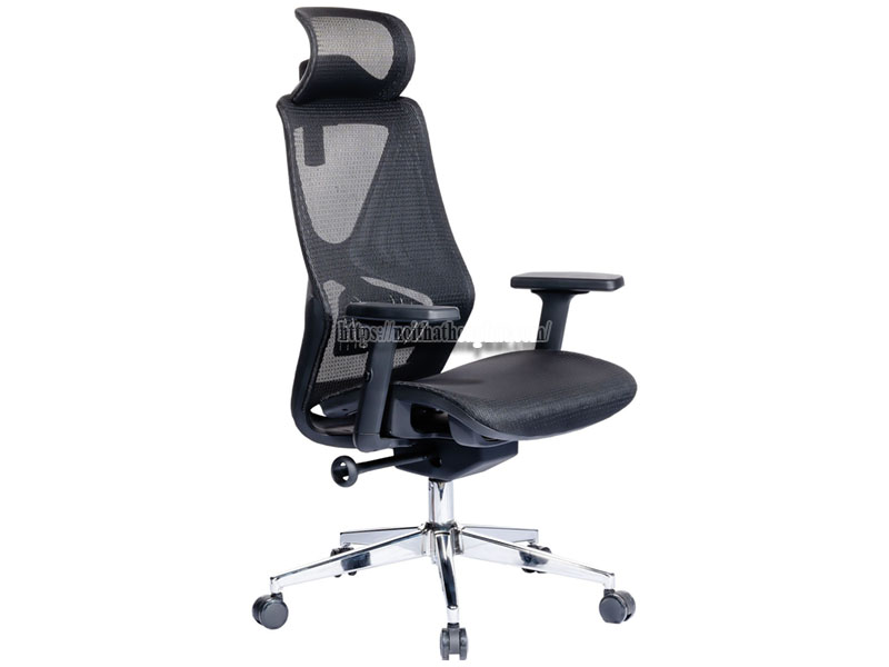 showroom ghế công thái học Hà Nội