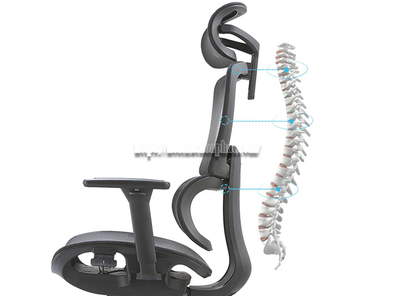 Ghế ergonomic có giảm đau lưng không