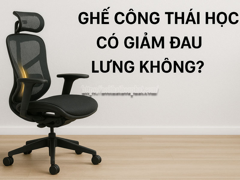 Ghế Công Thái Học Có Giảm Đau Lưng Không?