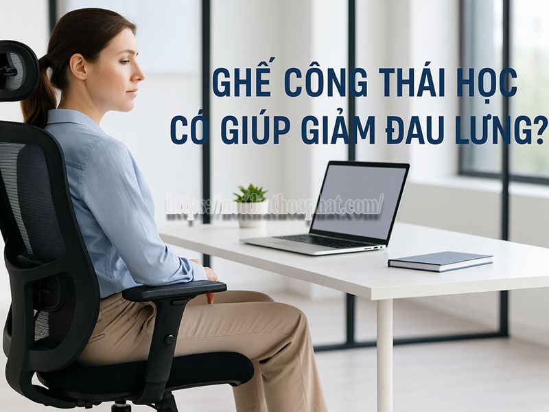 Ghế Công Thái Học Có Thực Sự Giúp Giảm Đau Lưng?