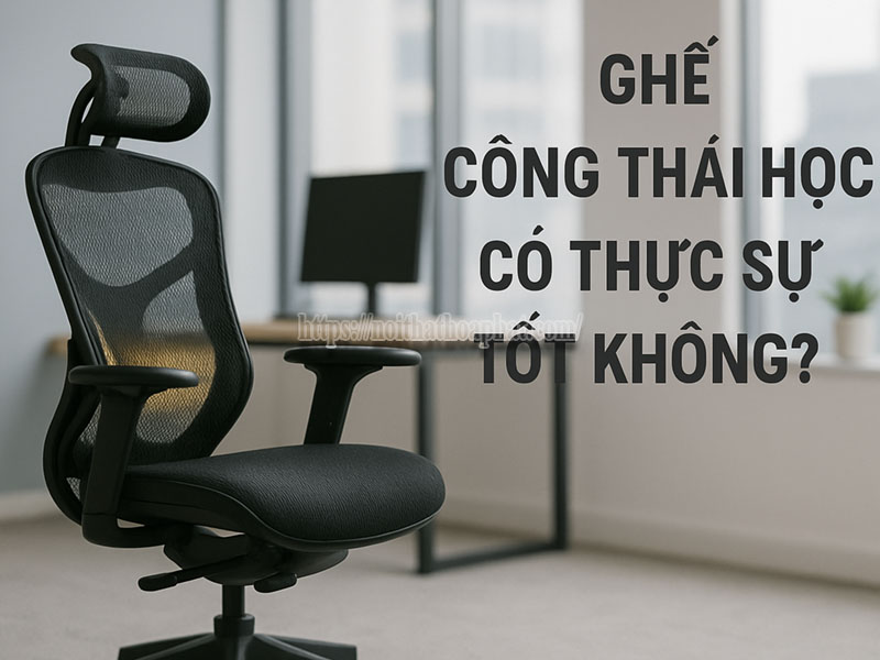 ghế công thái học có đáng tiền không