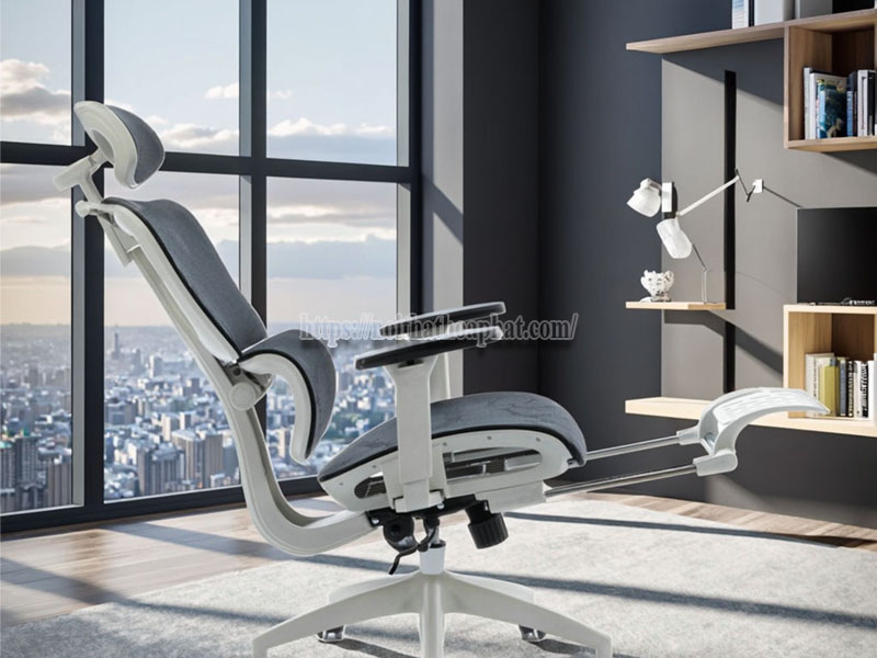cơ chế hoạt động của ghế công thái học