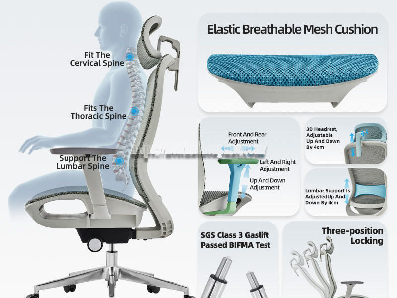 ghế công thái học Hòa Phát cho người cao 1m75