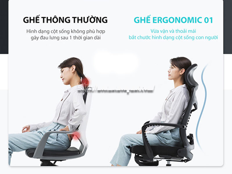 So sánh ghế công thái học và ghế văn phòng