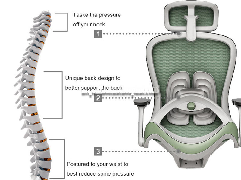 tính năng của ghế Ergonomic