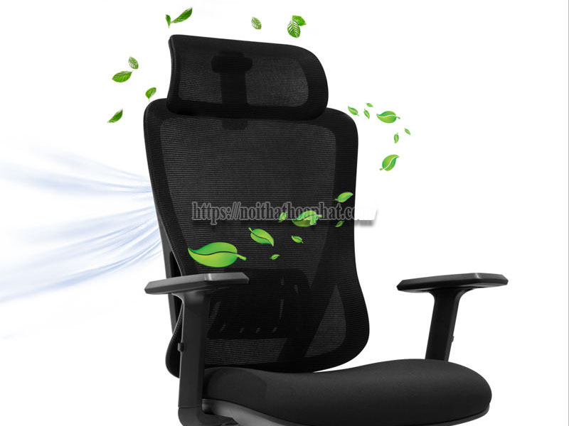 ghế công thái học là gì