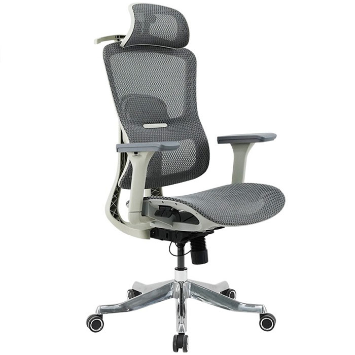 Ghế công thái học cao cấp GLE20