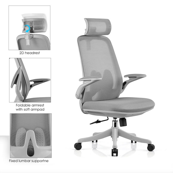 Ghế công thái học nhập khẩu FMX627 2