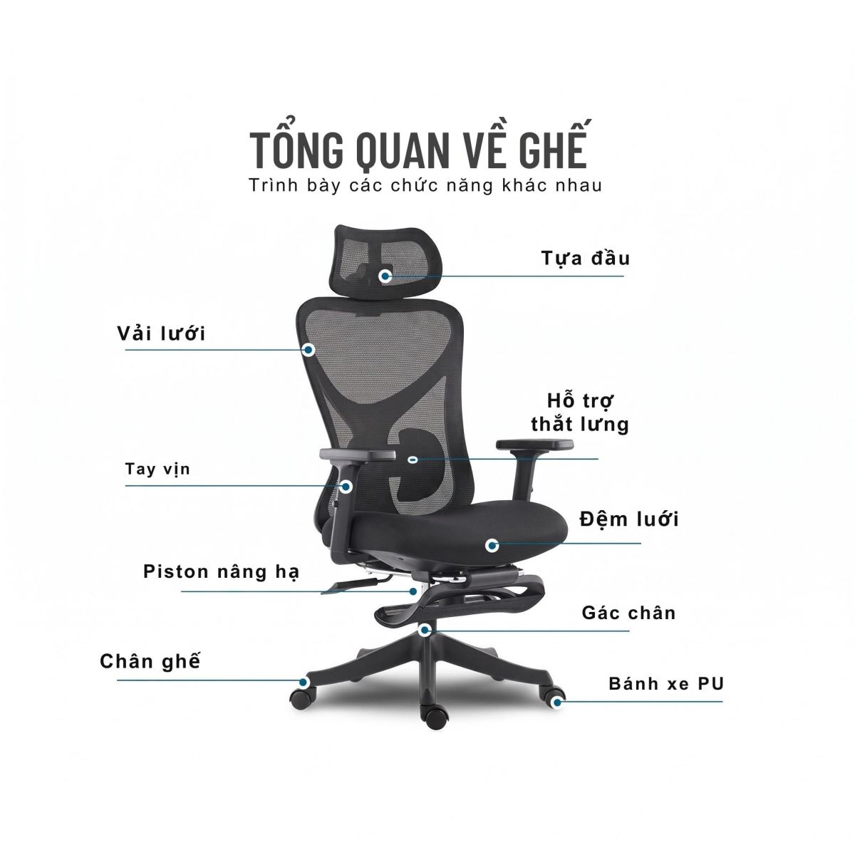 Ghế công thái học nhập khẩu FMX822C