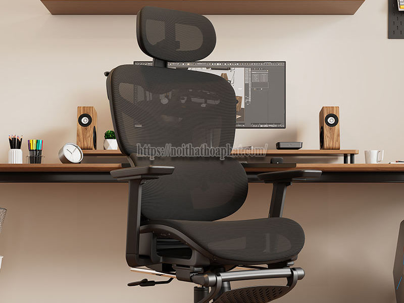 Ghế công thái học có đáng tiền không
