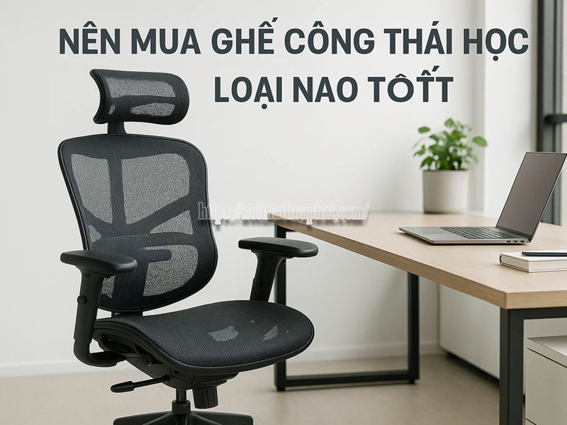 Nên Mua Ghế Công Thái Học Loại Nào Tốt