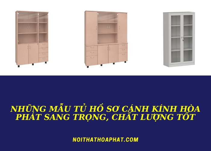 Những mẫu tủ hồ sơ cánh kính Hòa Phát sang trọng, chất lượng tốt