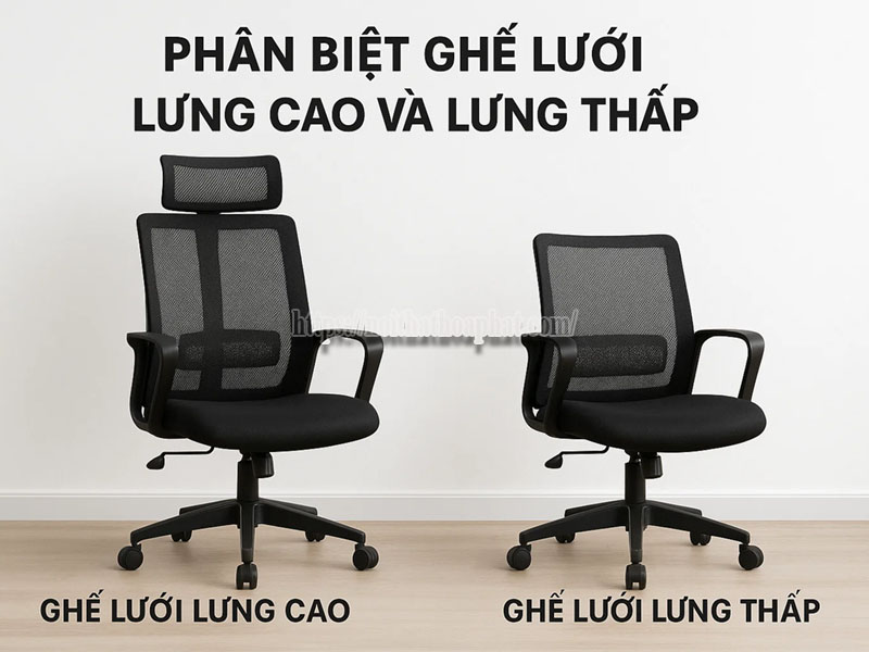 phân biệt ghế lưới lưng cao và lưng thấp