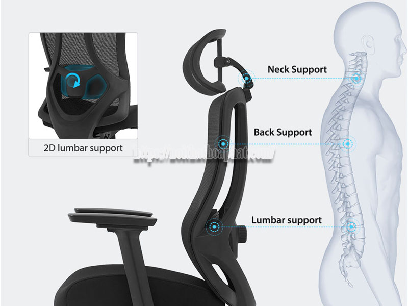 cách ghế lưới công thái học cải thiện tư thế ngồi