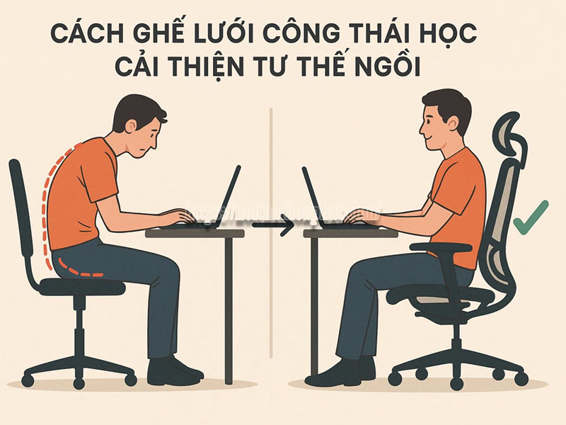 tác dụng của ghế lưới ergonomic
