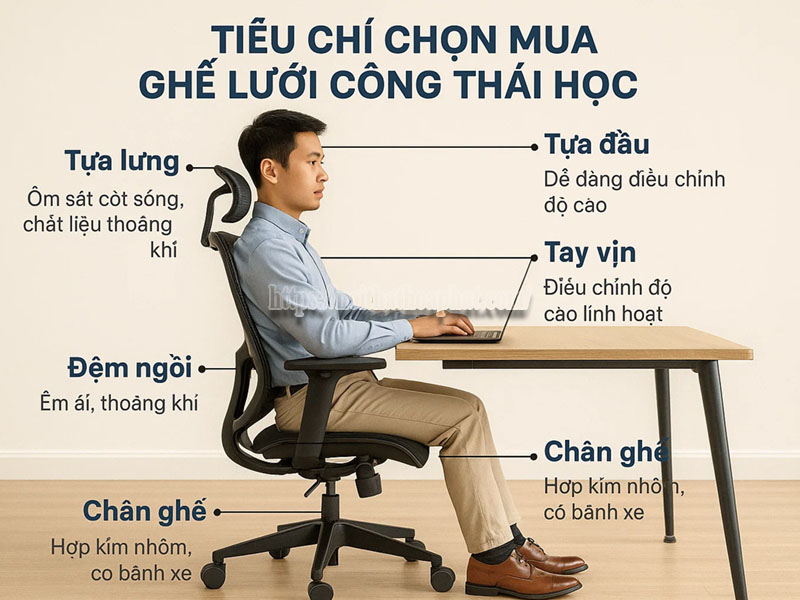tiêu chí chọn mua ghế lưới công thái học