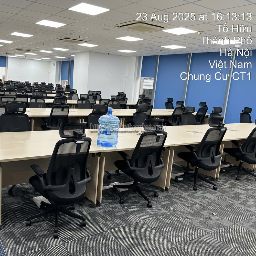 ghế lưới công thái học Hòa Phát