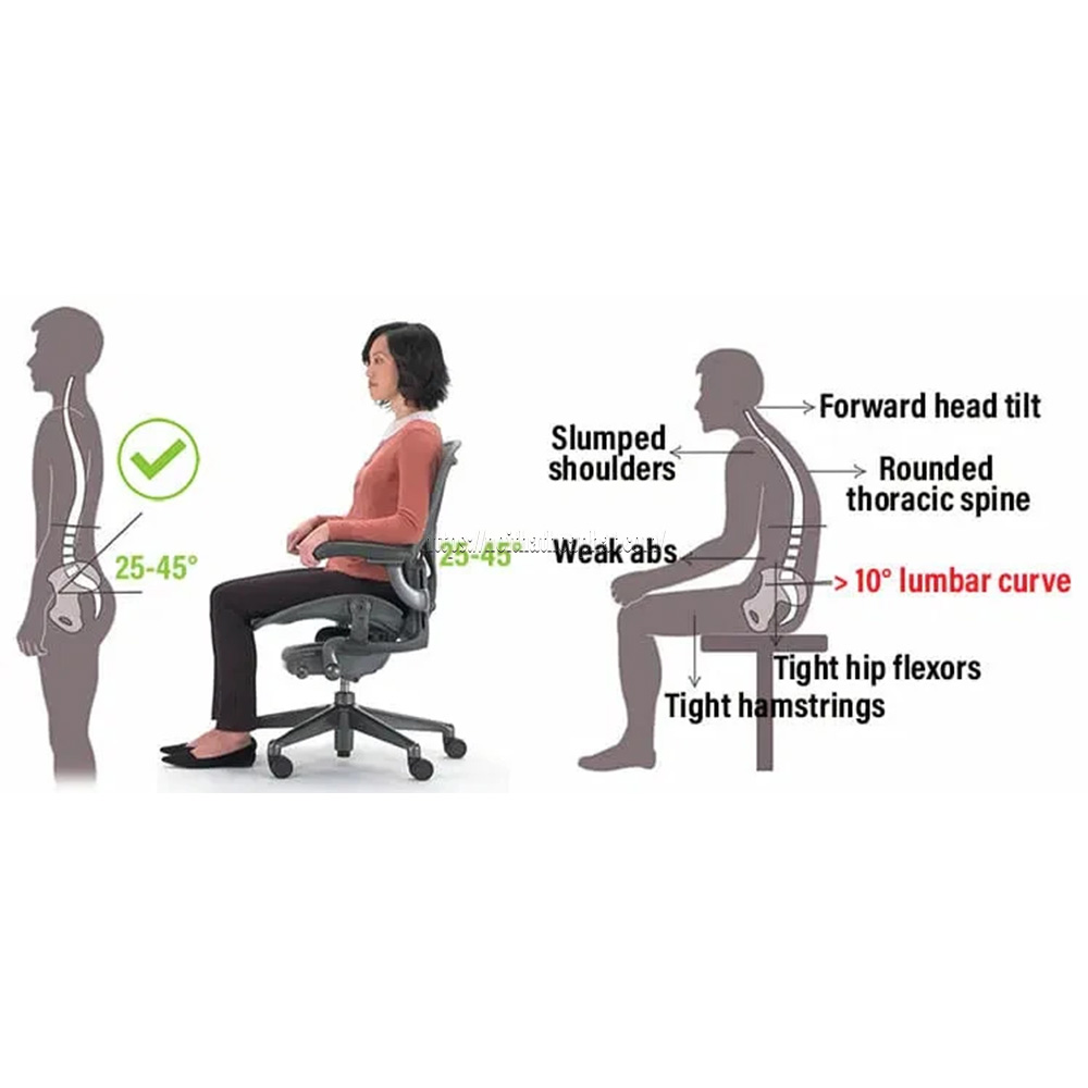tư thế ngồi ghế lưới đúng