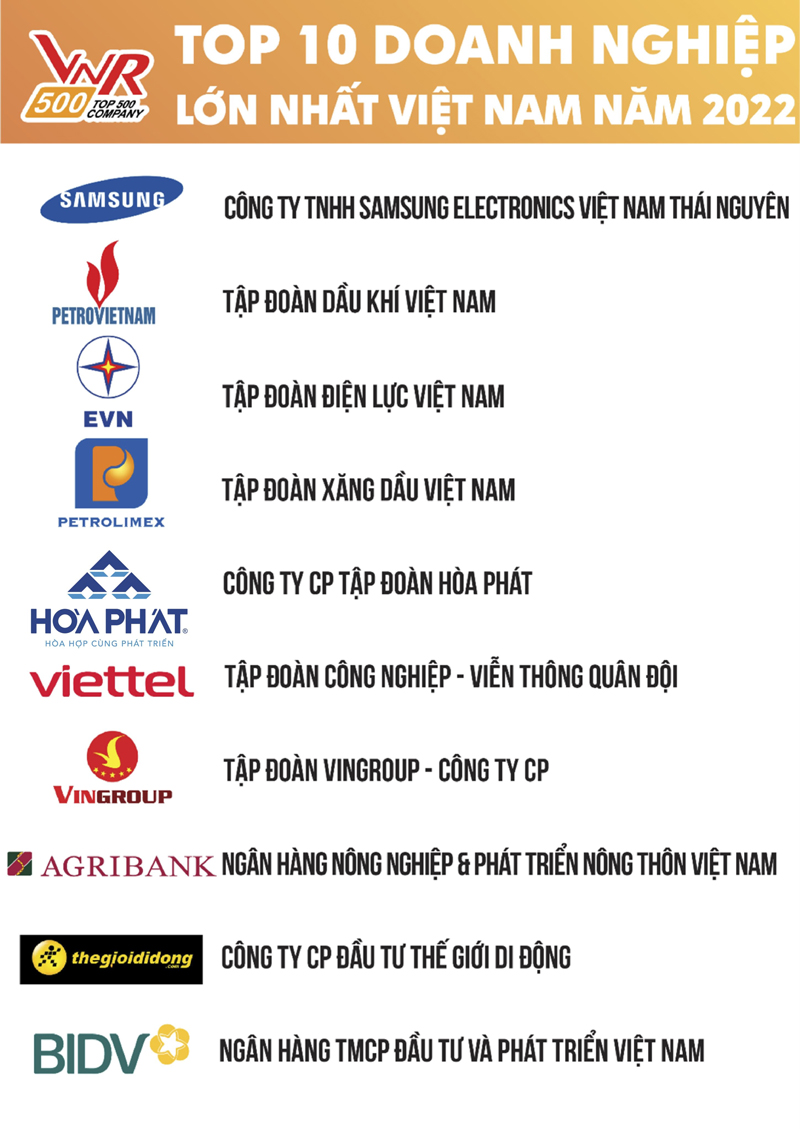 Top 10 doanh nghiệp tư nhân lớn nhất Việt Nam 1