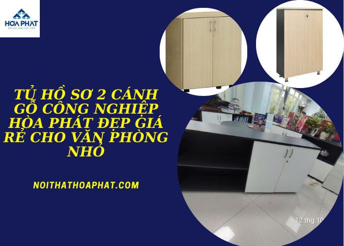 Tủ hồ sơ 2 cánh gỗ công nghiệp Hòa Phát đẹp giá rẻ cho văn phòng nhỏ