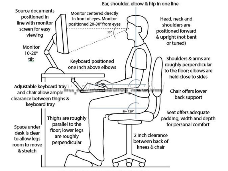 nguyên tắc ergonomic khi ngồi