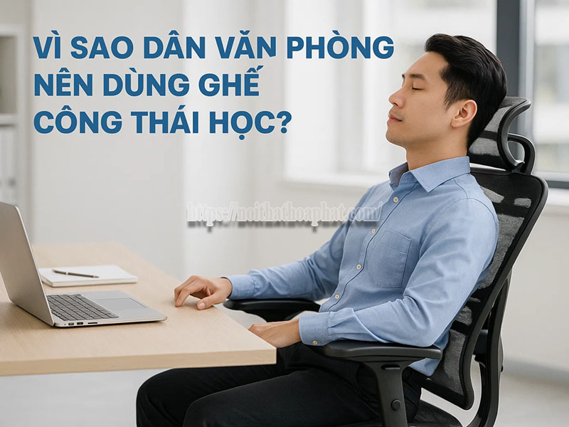 Vì Sao Dân Văn Phòng Nên Dùng Ghế Công Thái Học