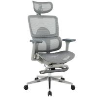 Ghế lưới công thái học GLE21