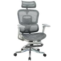 Ghế công thái học văn phòng GLE22