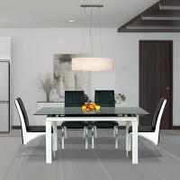 Bộ bàn ghế ăn B55-G56