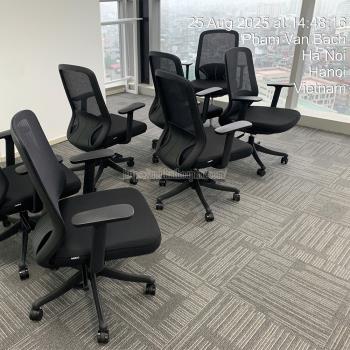 Cách Ngồi Ghế Lưới 8 Tiếng Không Mỏi: Cứu Tinh Cho Cột Sống Của Bạn