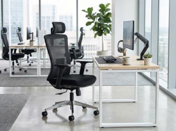 Có Nên Mua Ghế Nhập Khẩu Giá Rẻ Không?