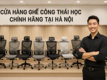 Cửa Hàng Ghế Công Thái Học Chính Hãng Tại Hà Nội