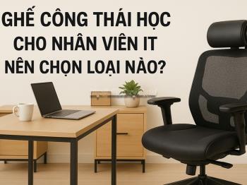 Ghế Công Thái Học Cho Nhân Viên IT Nên Chọn Loại Nào?