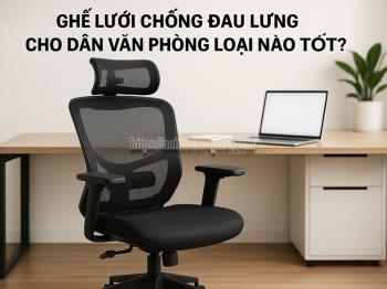 Ghế Lưới Chống Đau Lưng Cho Dân Văn Phòng Loại Nào Tốt?