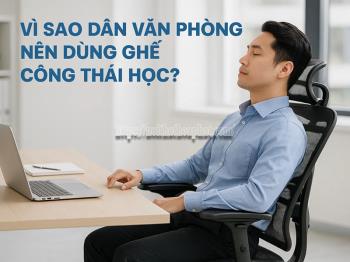 Vì Sao Dân Văn Phòng Nên Dùng Ghế Công Thái Học? Phân Tích Chuyên Sâu